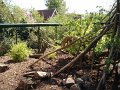 zoo 079